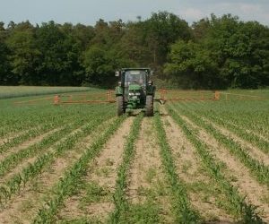 Conselho Monetário Nacional (CNM) altera regras de crédito rural