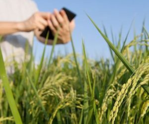 Vagas para Técnico em Agronegócio são abertas pelo Ministério da Agricultura