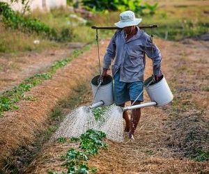 Agricultura familiar: aumento de limite de crédito para a compra de terras