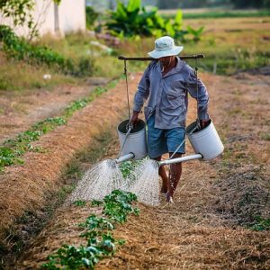 Agricultura familiar: aumento de limite de crédito para a compra de terras