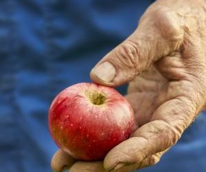 Alterações nas regras para empréstimo a agricultores familiares