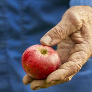 Alterações nas regras para empréstimo a agricultores familiares