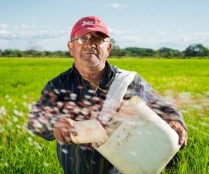 Governo anuncia R$ 31 bilhões para plano safra da agricultura familiar 2018-2019