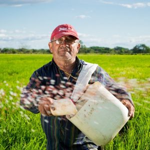 Governo anuncia R$ 31 bilhões para plano safra da agricultura familiar 2018-2019